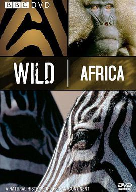 野性非洲非洲：发现未知4