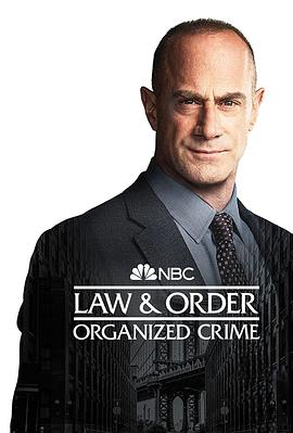 法律与秩序：组织犯罪第三季第09集