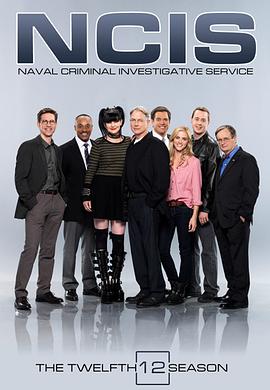 海军罪案调查处第十二季第23集